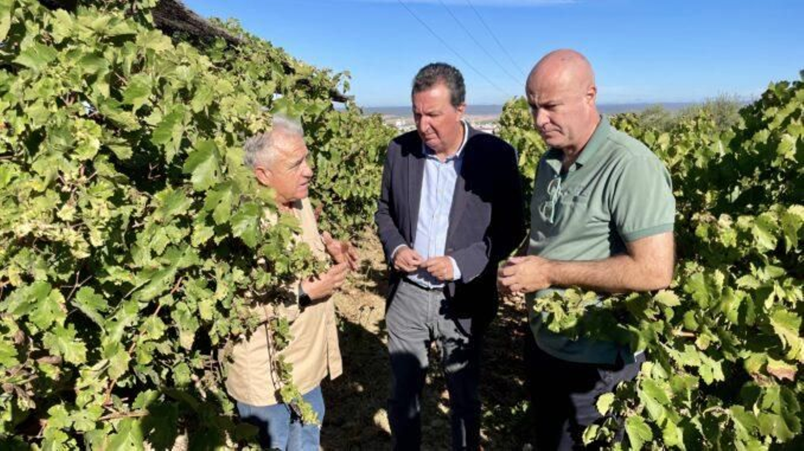 Manuel Andrés González, en las producciones vitivinícolas.