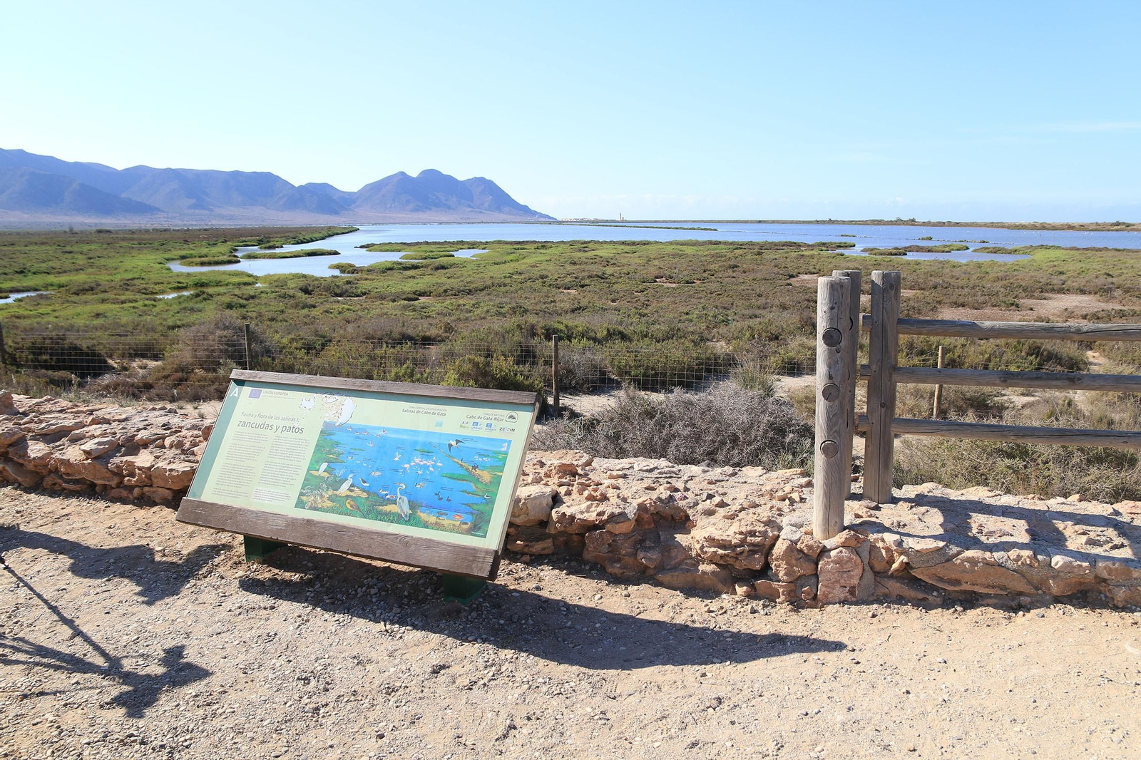 Las imágenes de las Salinas de Cabo de Gata recuperadas y con flamencos
