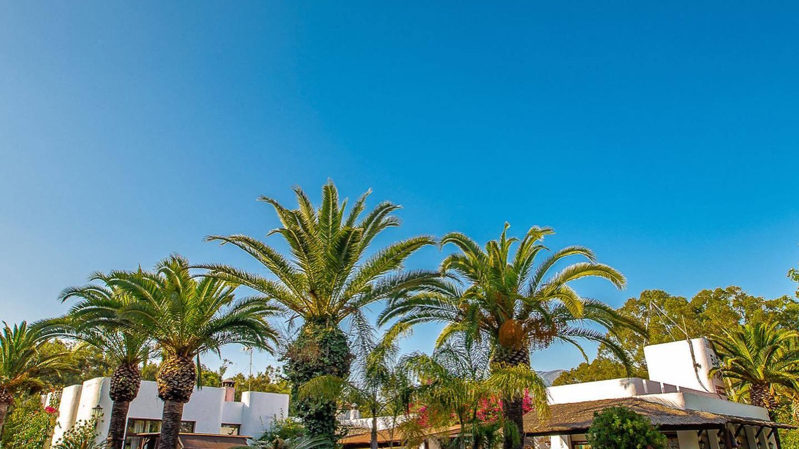 Camping Paloma (Tarifa)