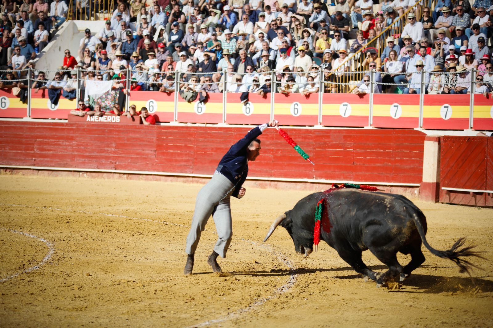 Imágenes del festival mixto lucha contra el cáncer