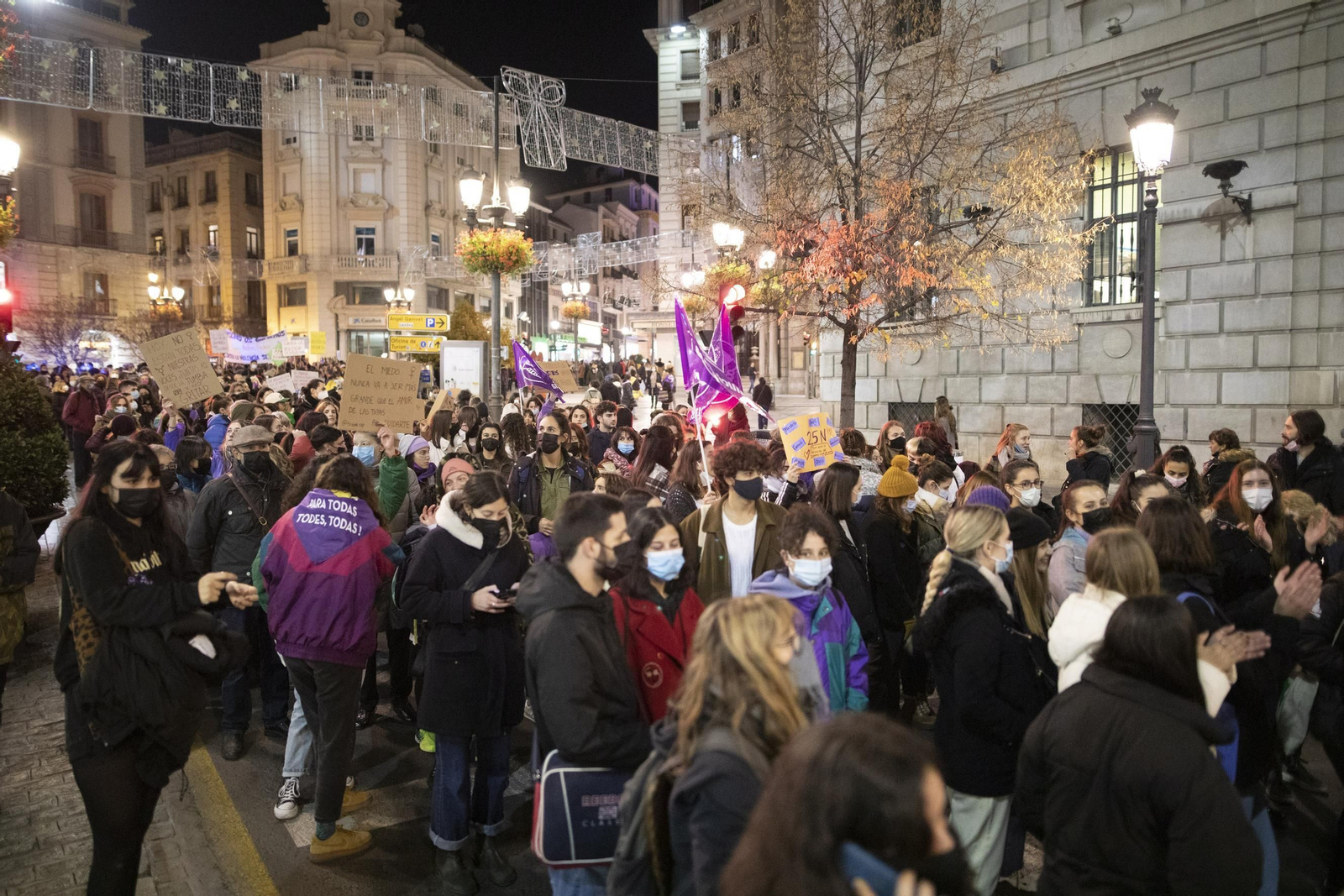 La manifestación del 25-N en Granada en imágenes