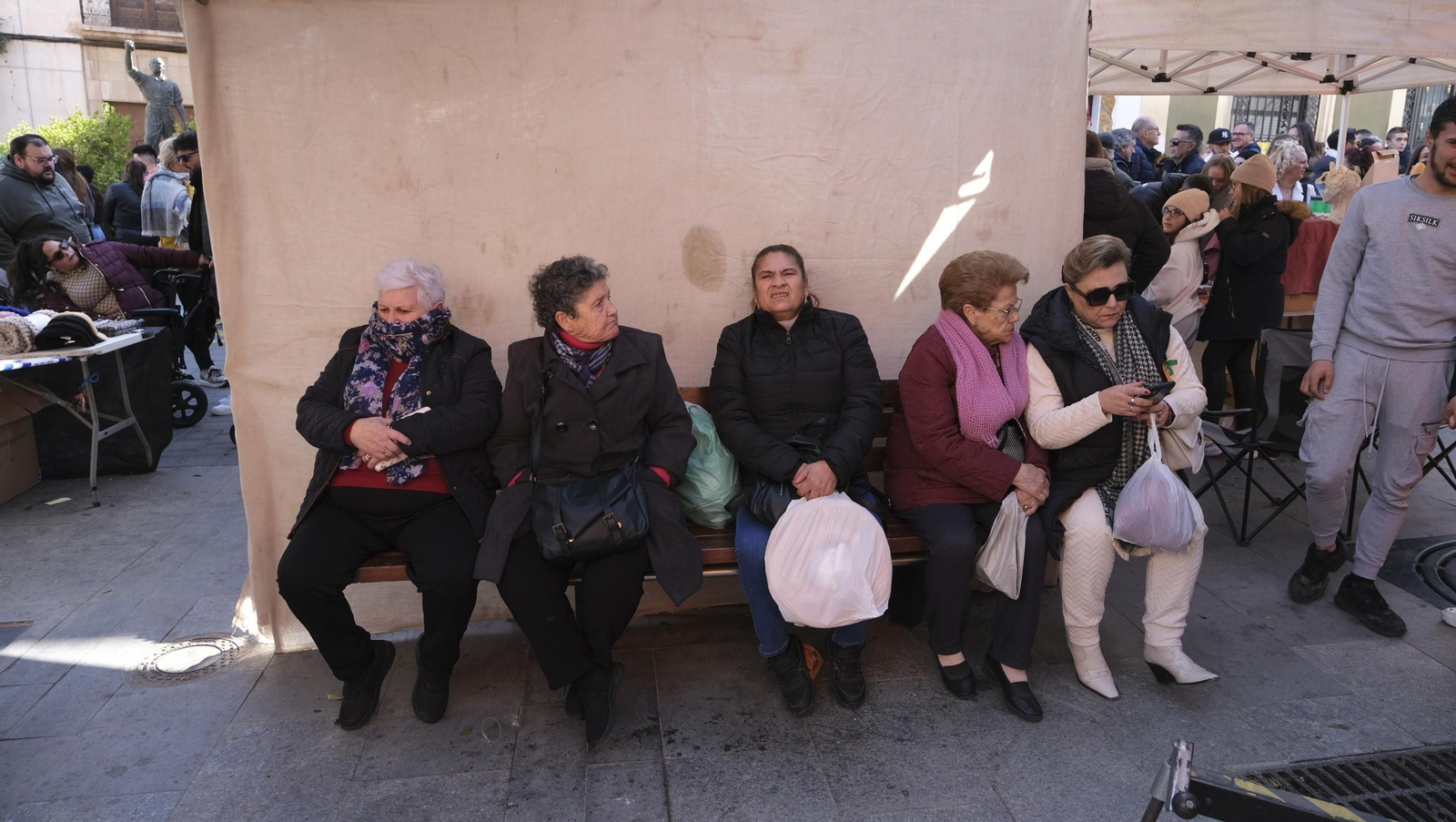 Imágenes del Día de la Naranja, en Gádor