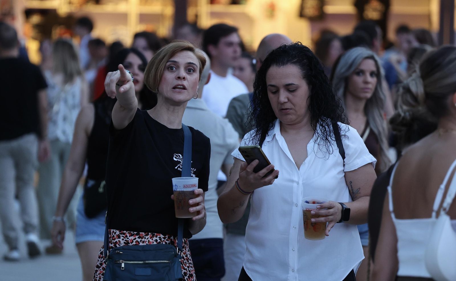 Búscate en las fotos del concierto de Antoñito Molina en Sevilla