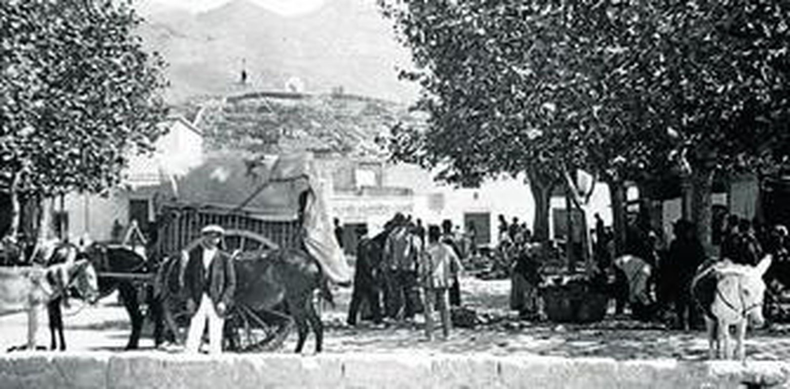 La Plaza de Abajo/Las Flores punto focal de referencia