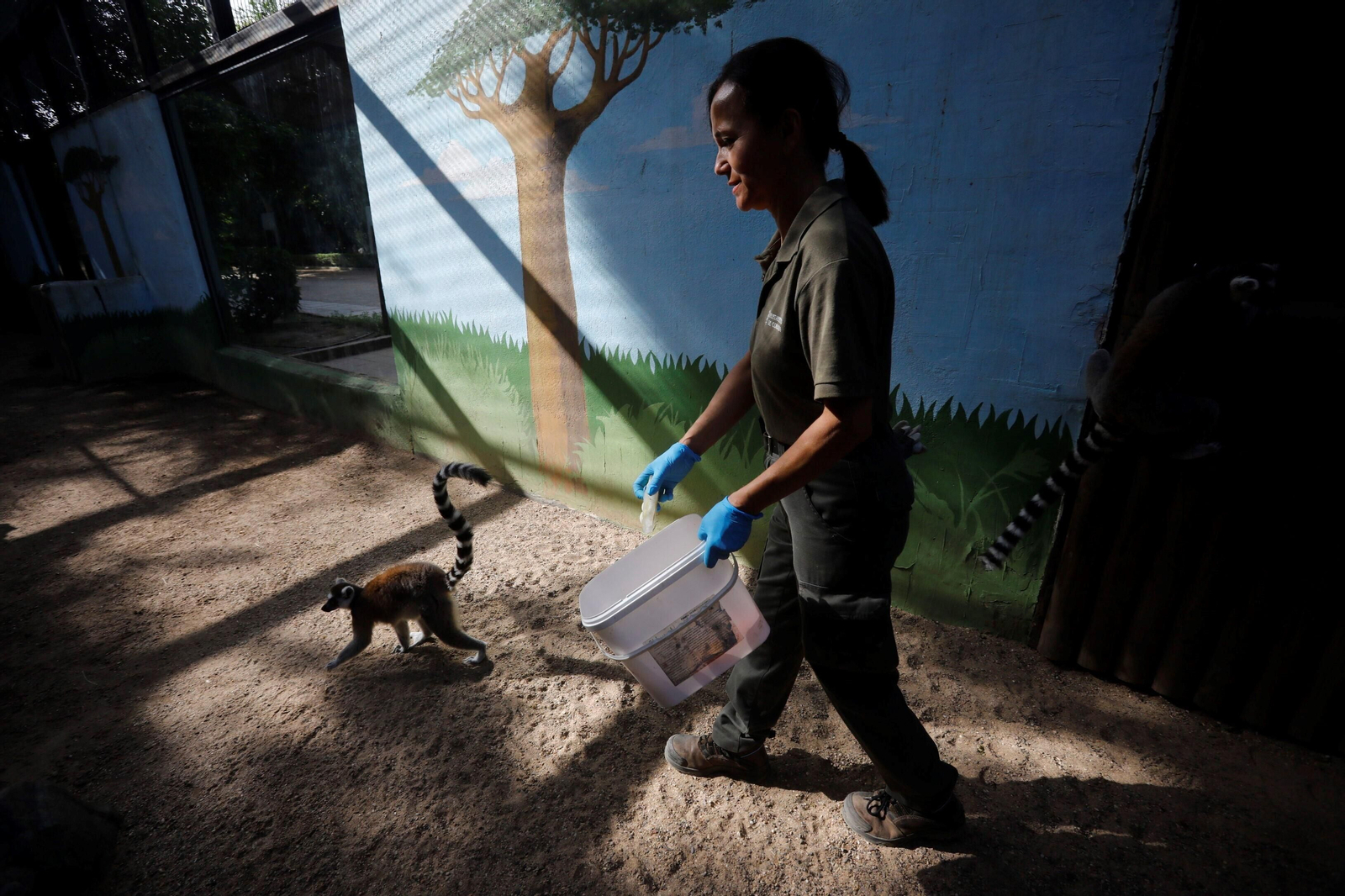 Fotogalería: Así viven los animales del Zoo de Córdoba los meses de verano
