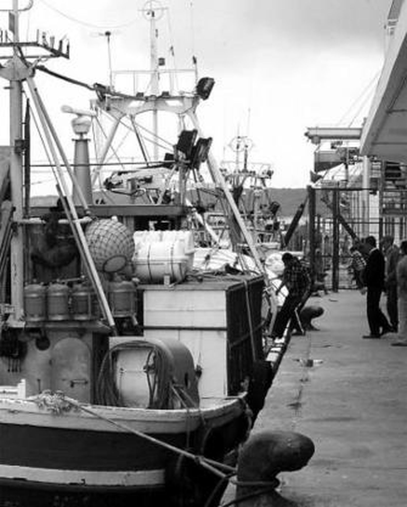 Parte de la flota de Barbate tras su llegada de aguas de Marruecos.