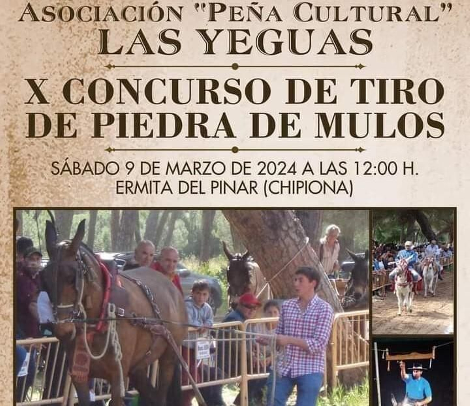 Cartel del X  Concurso de Tiro de Piedra de Mulo de Chipiona