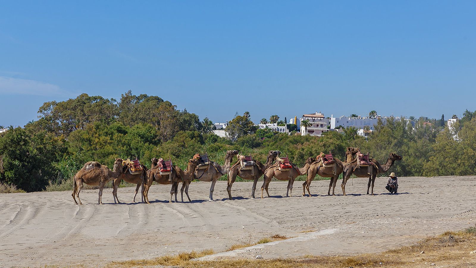 Playa Marina de la Torre (Mojácar)