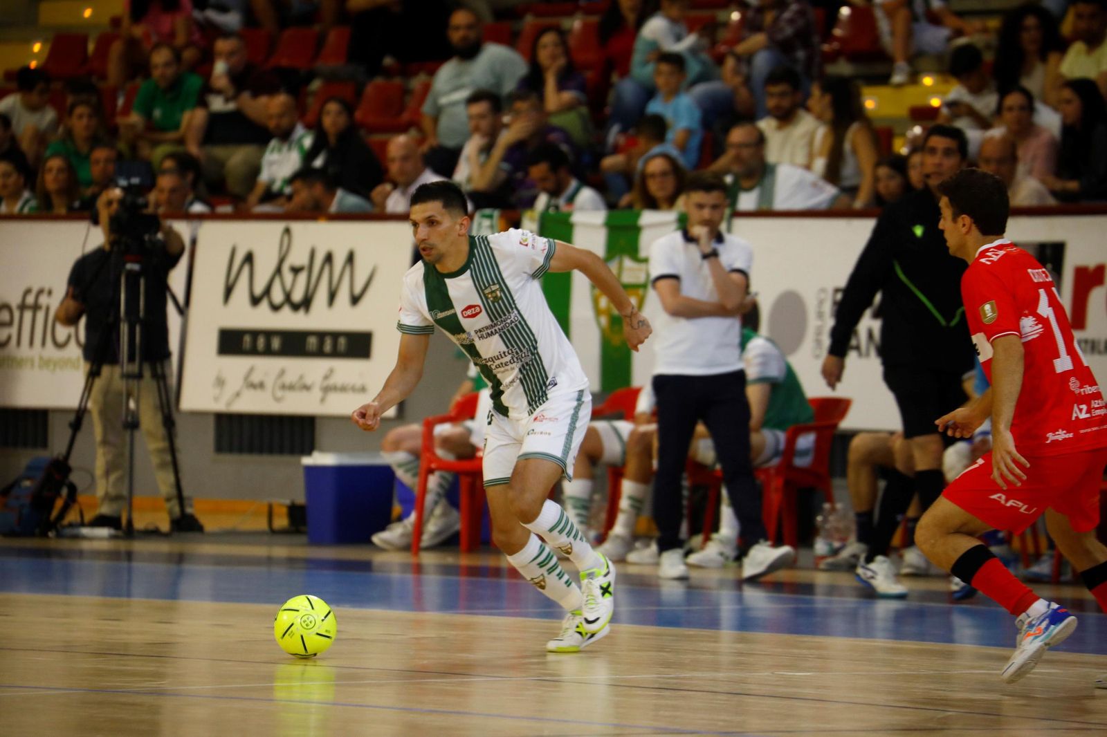 Las mejores fotos del ambiente en Vista Alegre para el Córdoba Futsal - Jimbee Cartagena