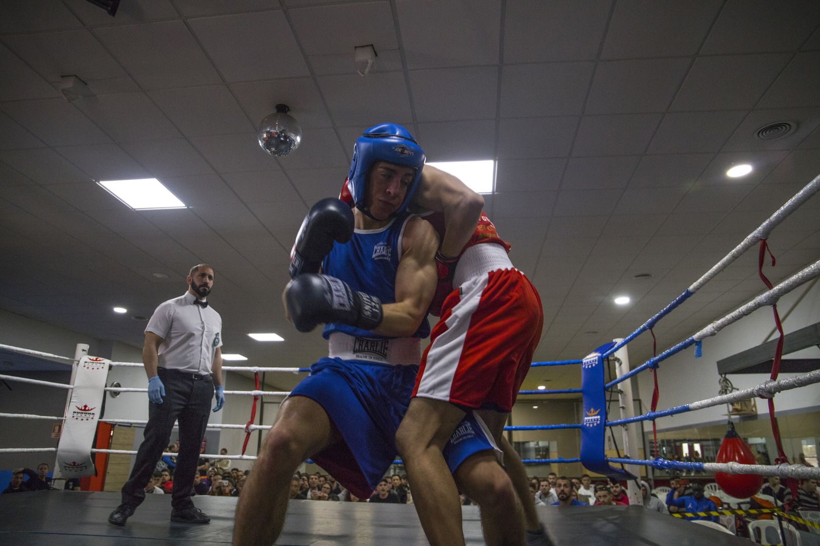 La cantera del boxeo granadino se luce en Armilla