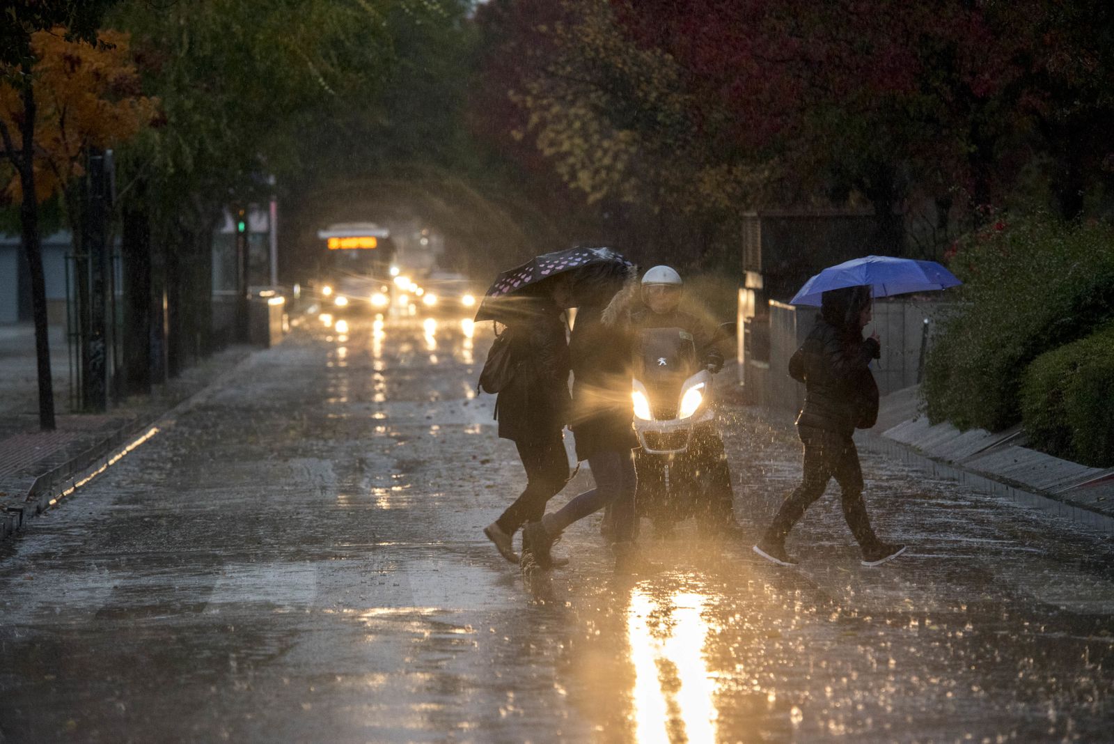 Domingo de calcetines mojados