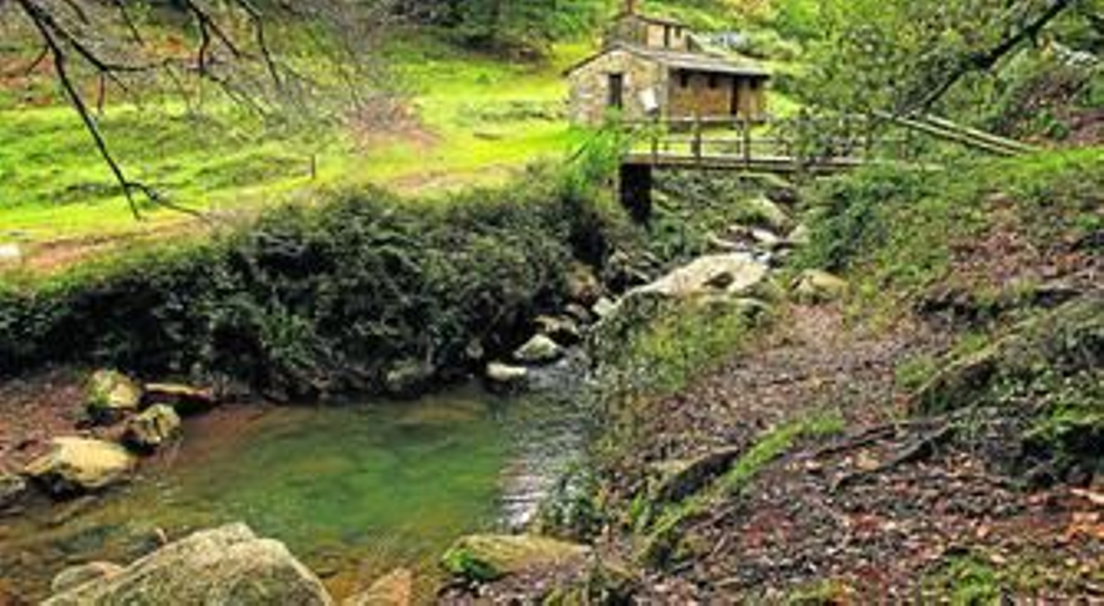 El núcleo recreativo de La Sauceda, toda una 'joya' ambiental.