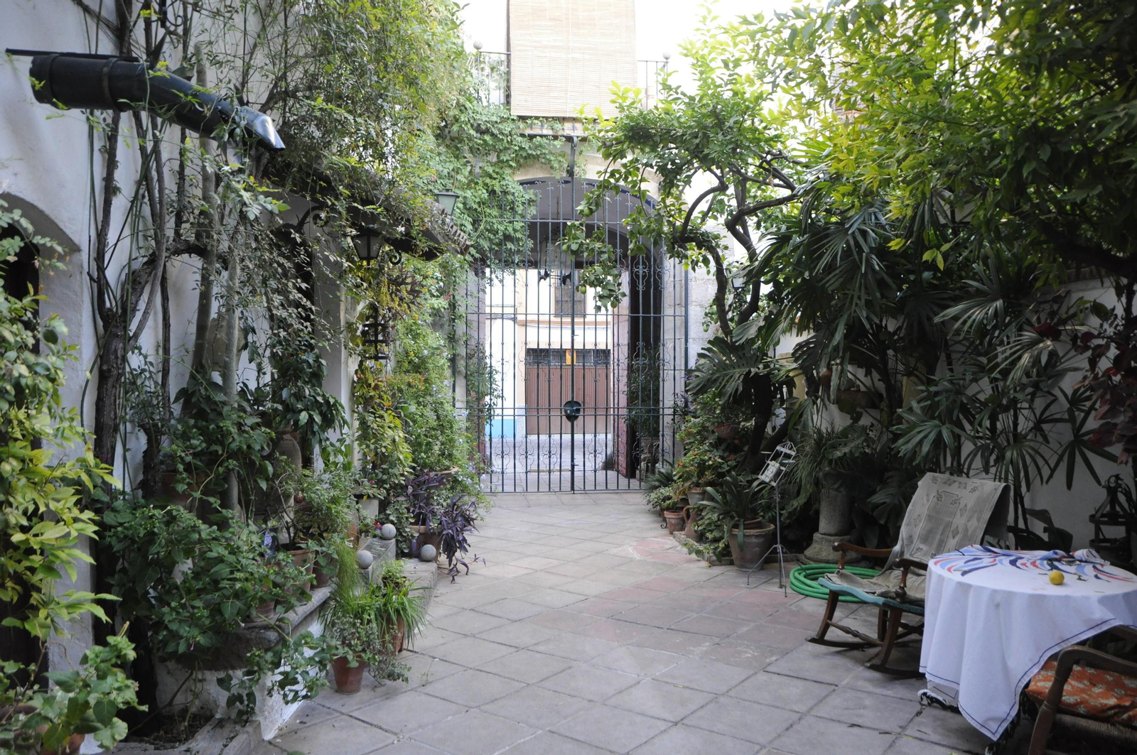 Los Patios de Córdoba se acicalan para su apertura en otoño, en fotografías