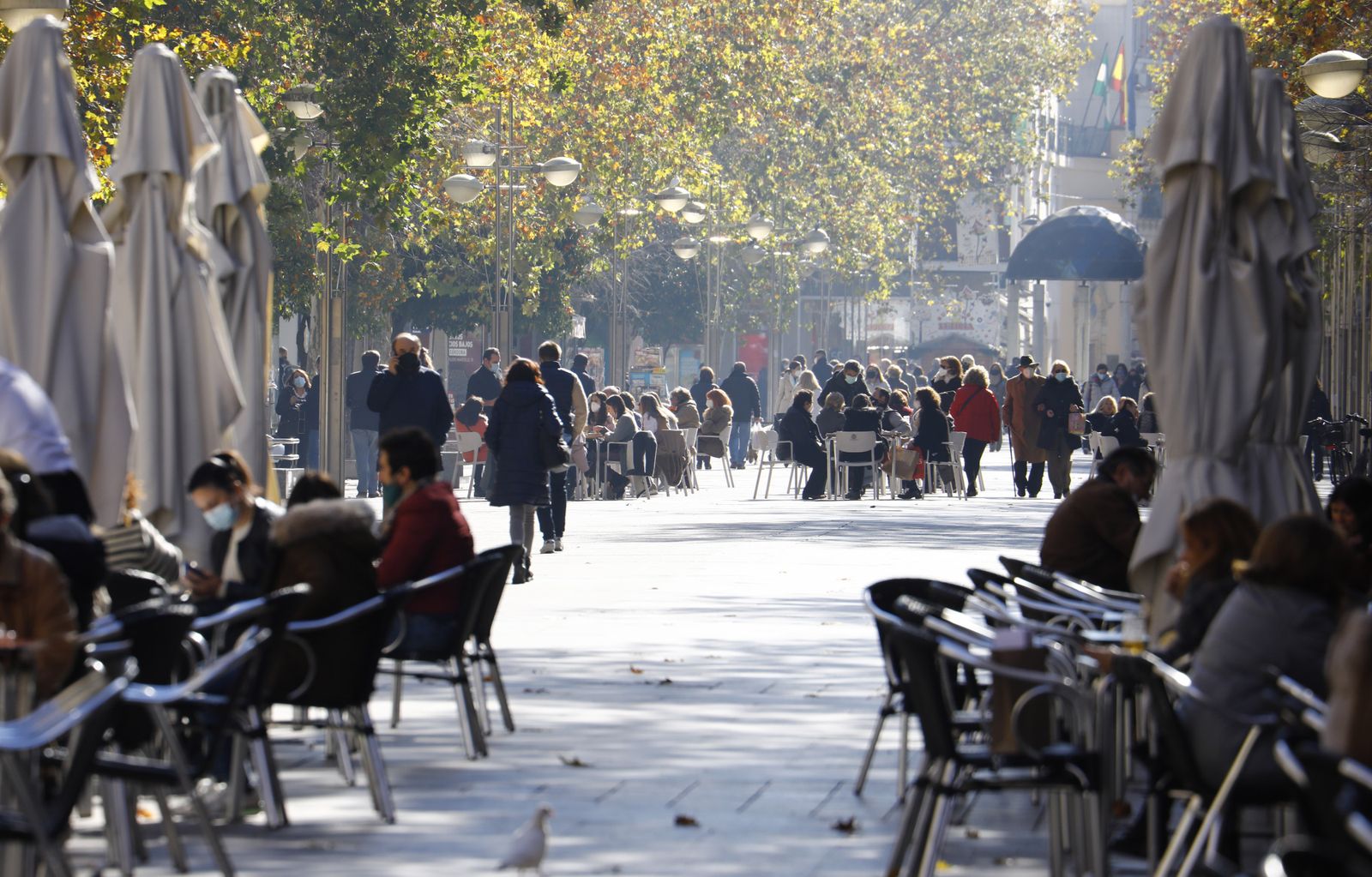 Ambiente en la calle en Córdoba.