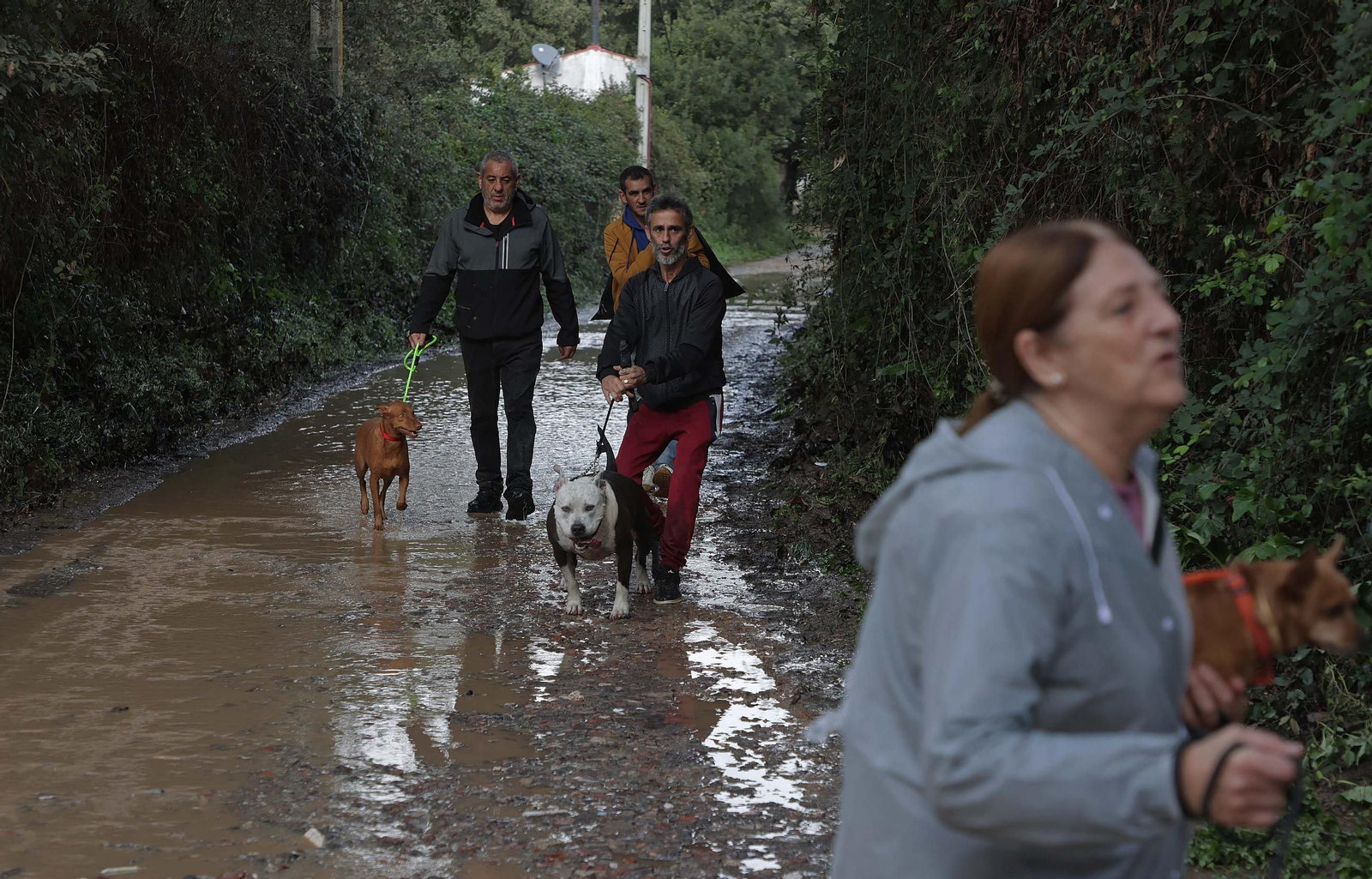 Fotos de la inundaciones en San Pablo de Buceite por la DANA