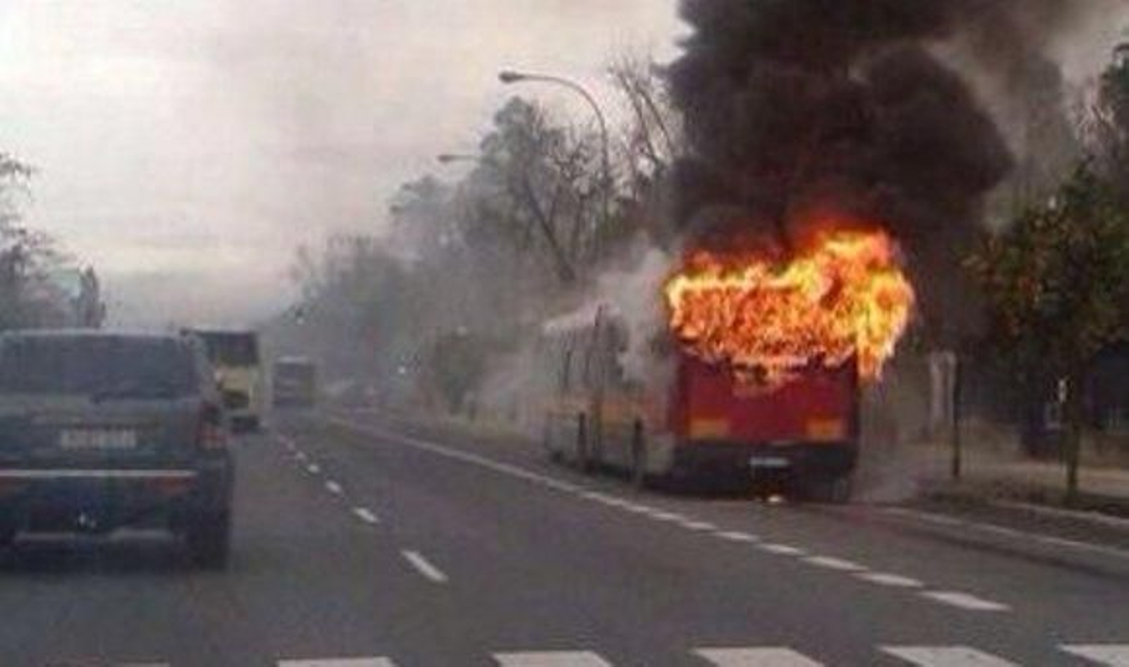 Un autobús de Tussam arde en la Avenida de La Palmera