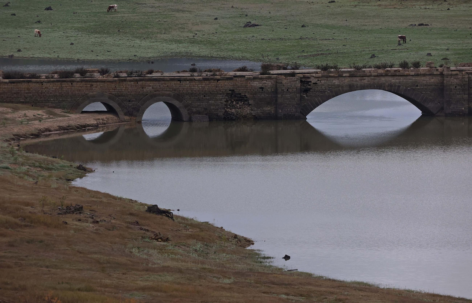 Fotos del pantano de Charco Redondo en Los Barrios
