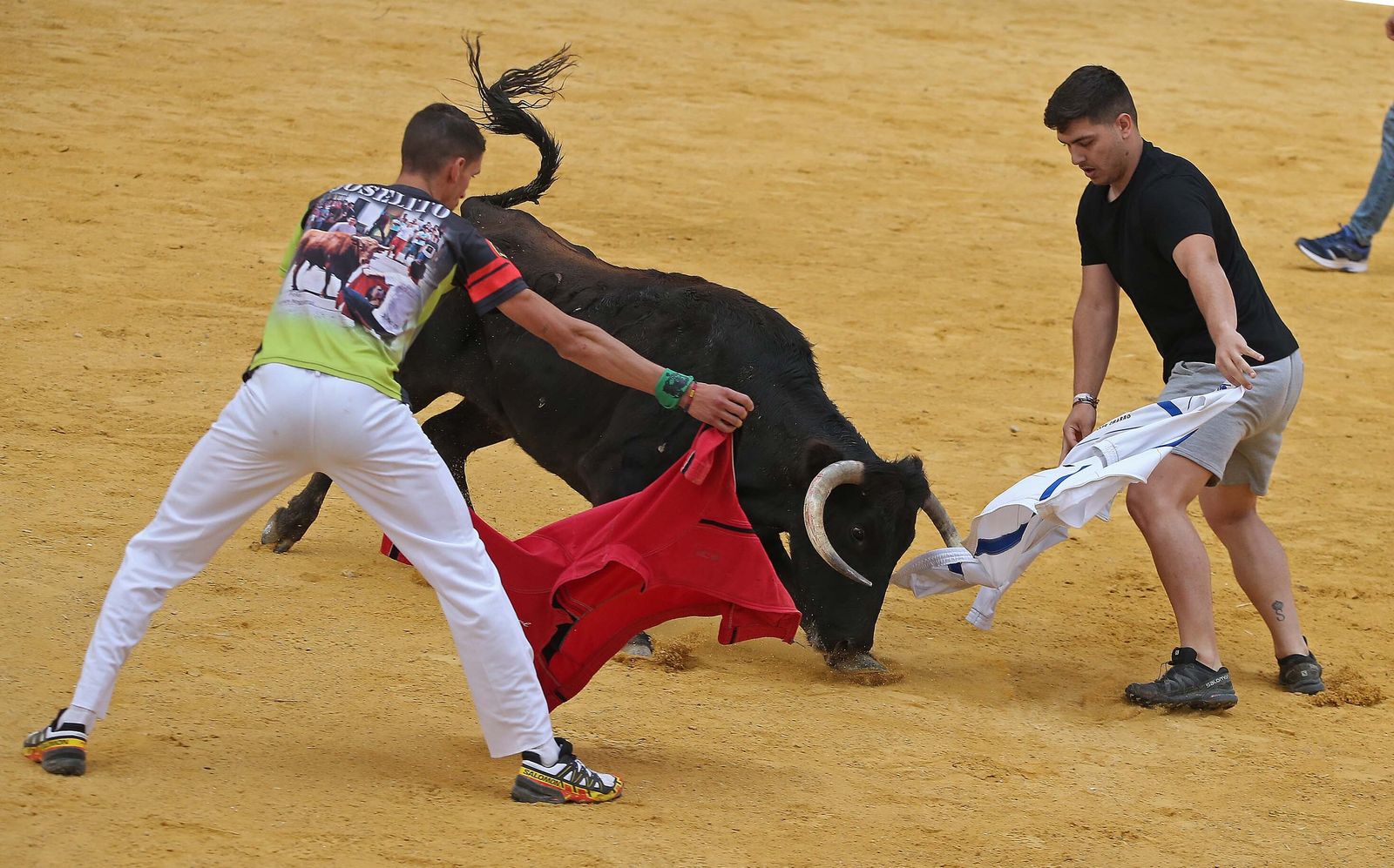Fotos del Toro Embolao en Los Barrios