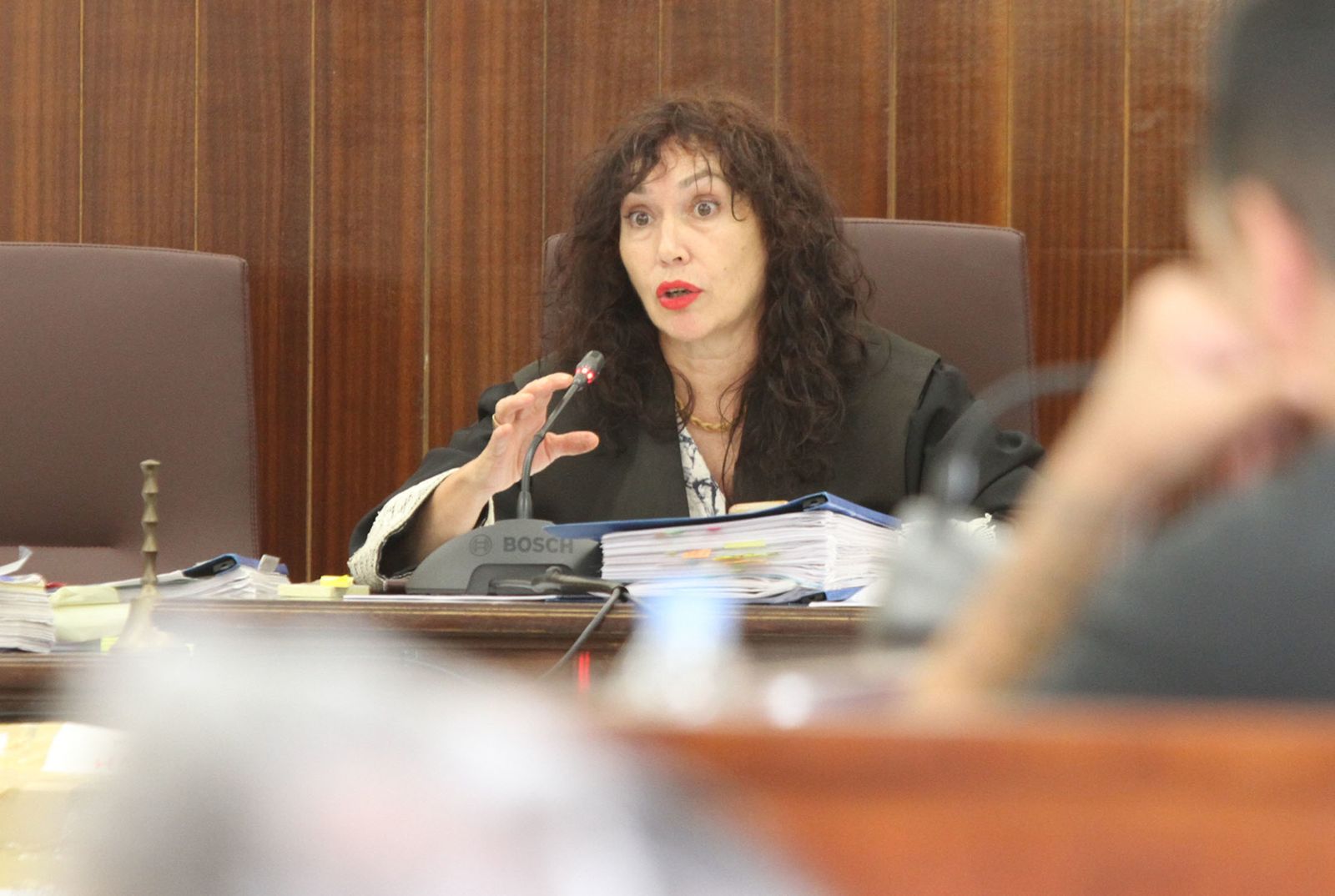 La declaración de la madre y esposa de las víctimas en el juicio del crimen de Almonte, en imágenes