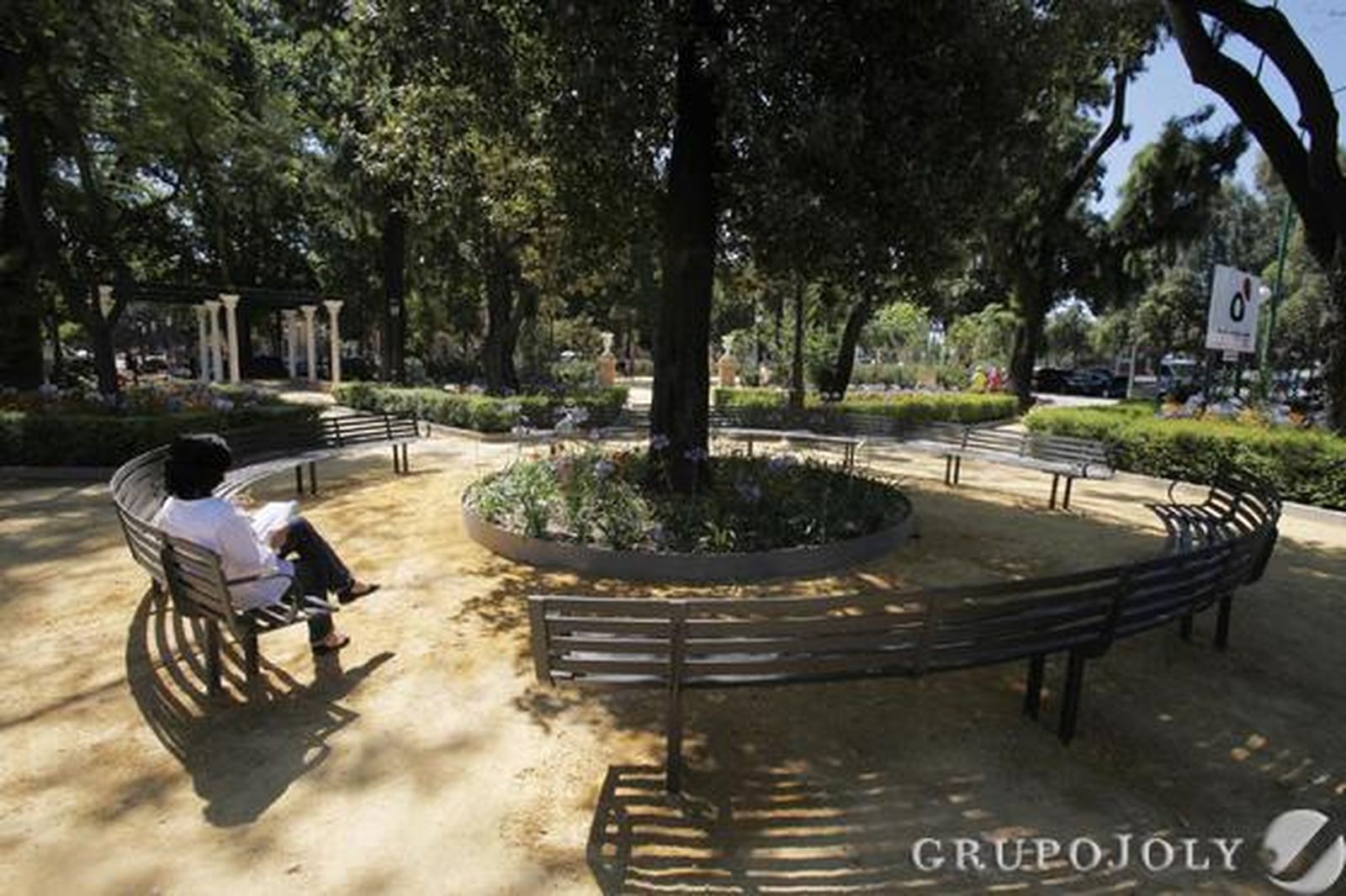 Un banco circular en el jardín. El árbol de Lagunaria de los jardines está rodeado por bancos.

Foto: José Ángel García