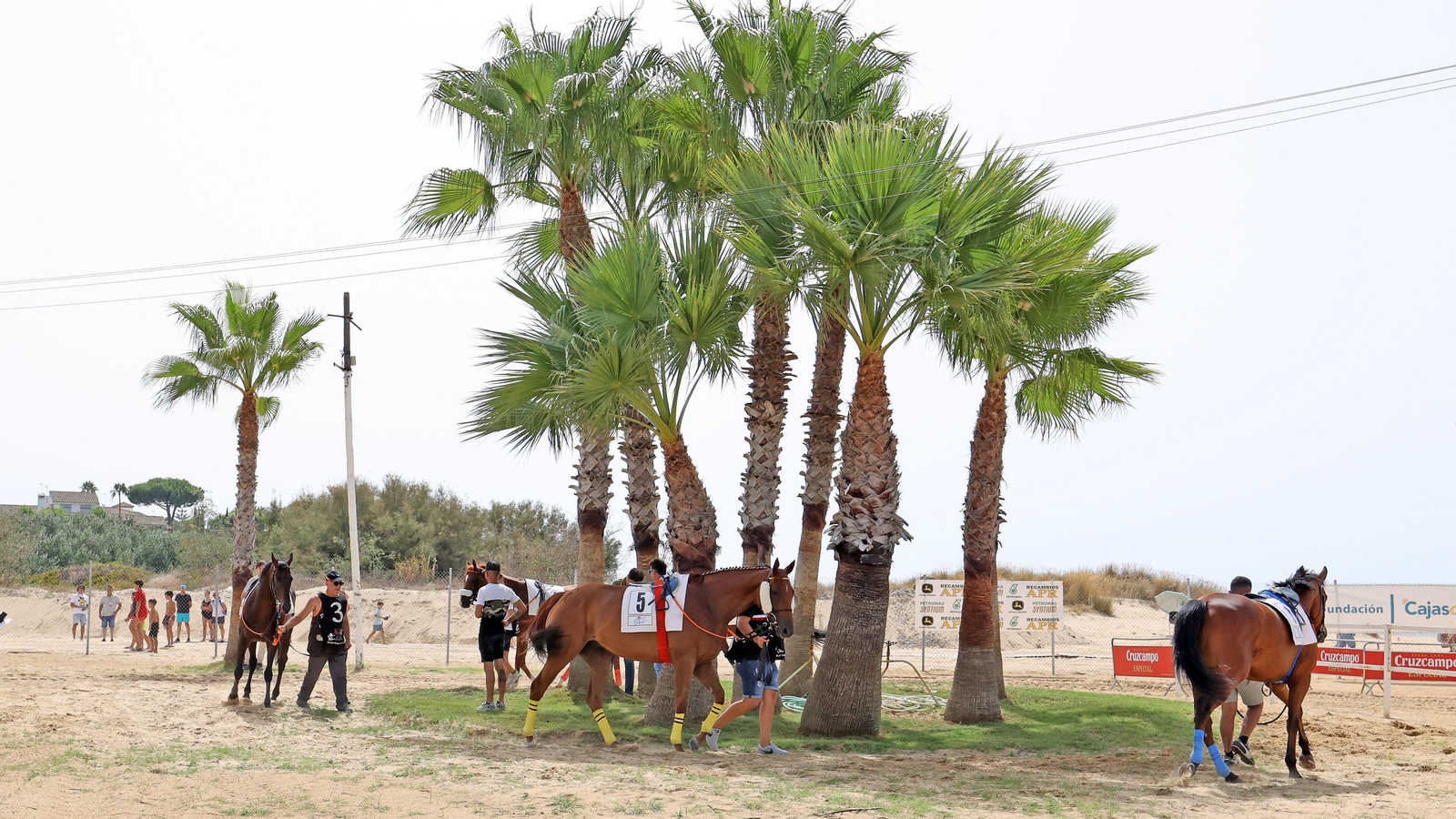 178ª edición de las Carreras de Caballos de Sanlúcar