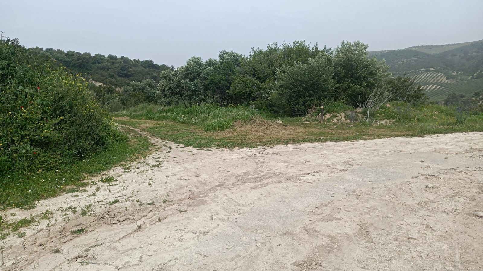 Mantenemos el camino principal siempre.