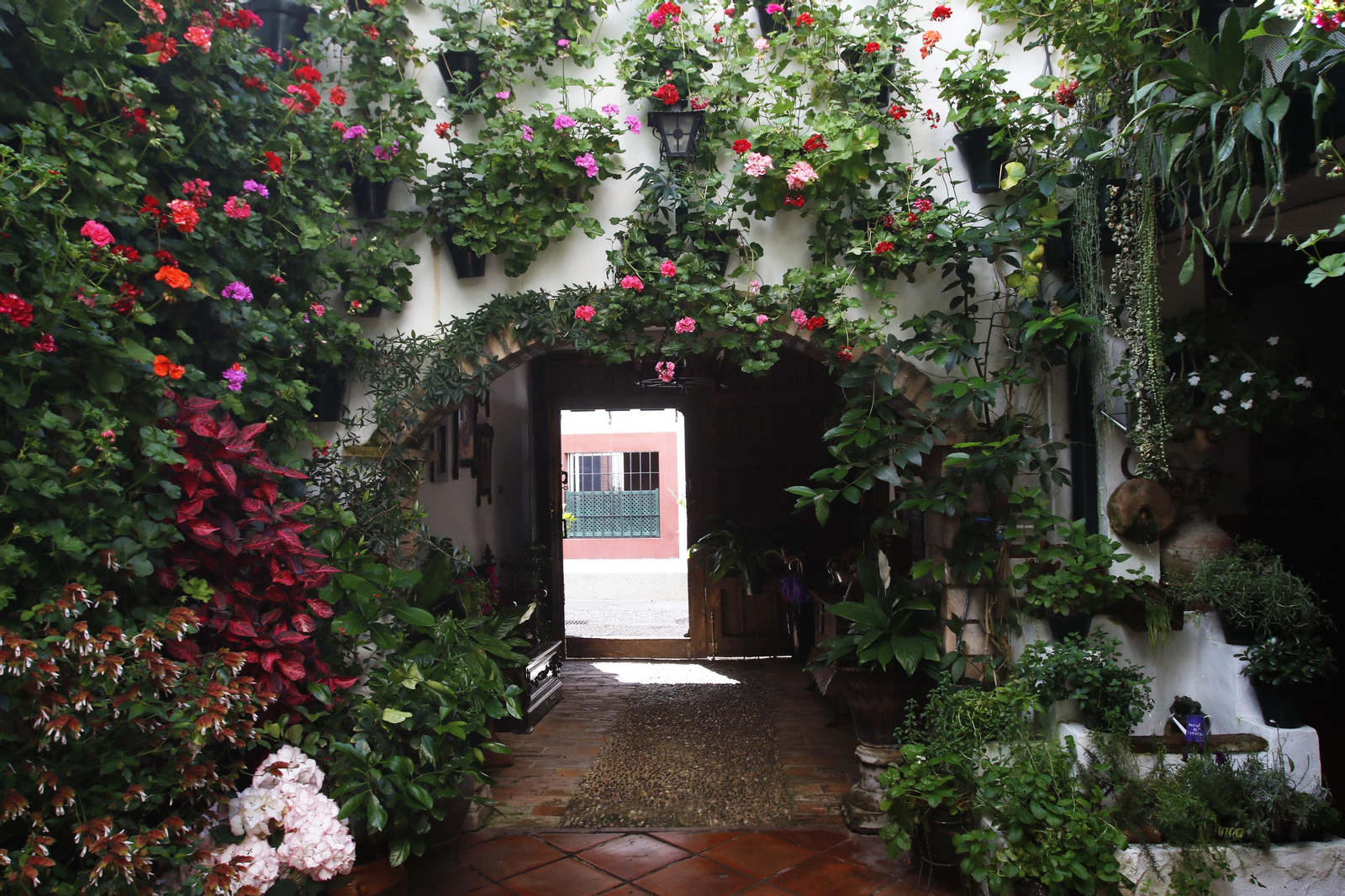 Las fotos de los Patios de Córdoba en este atípico mes de mayo