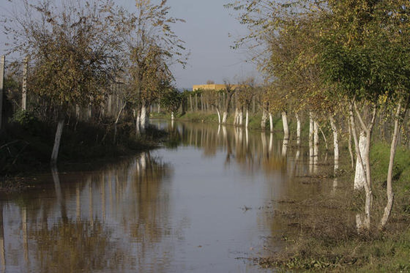 Foto: José Ángel García