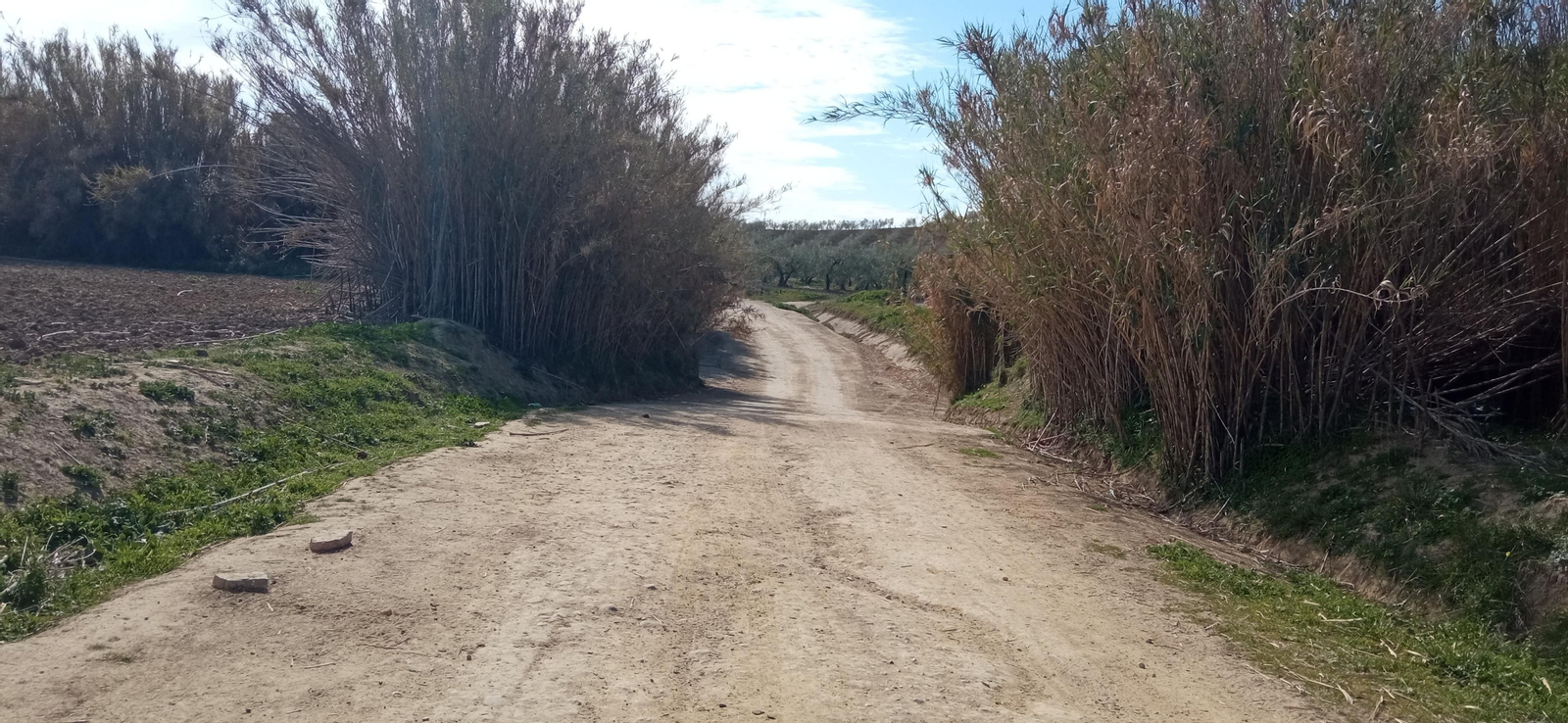 Las imágenes de la ruta de la dehesa de Albaida del Aljarafe