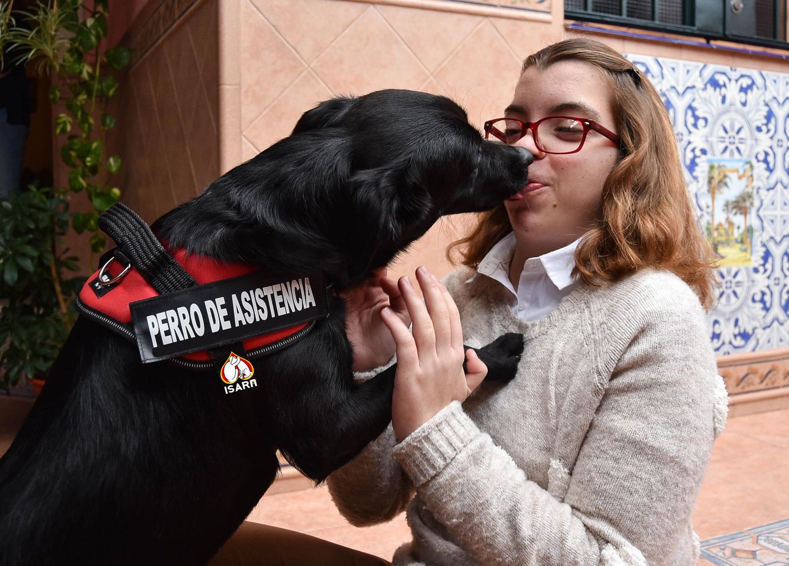 Un ángel de la guarda que ladra
