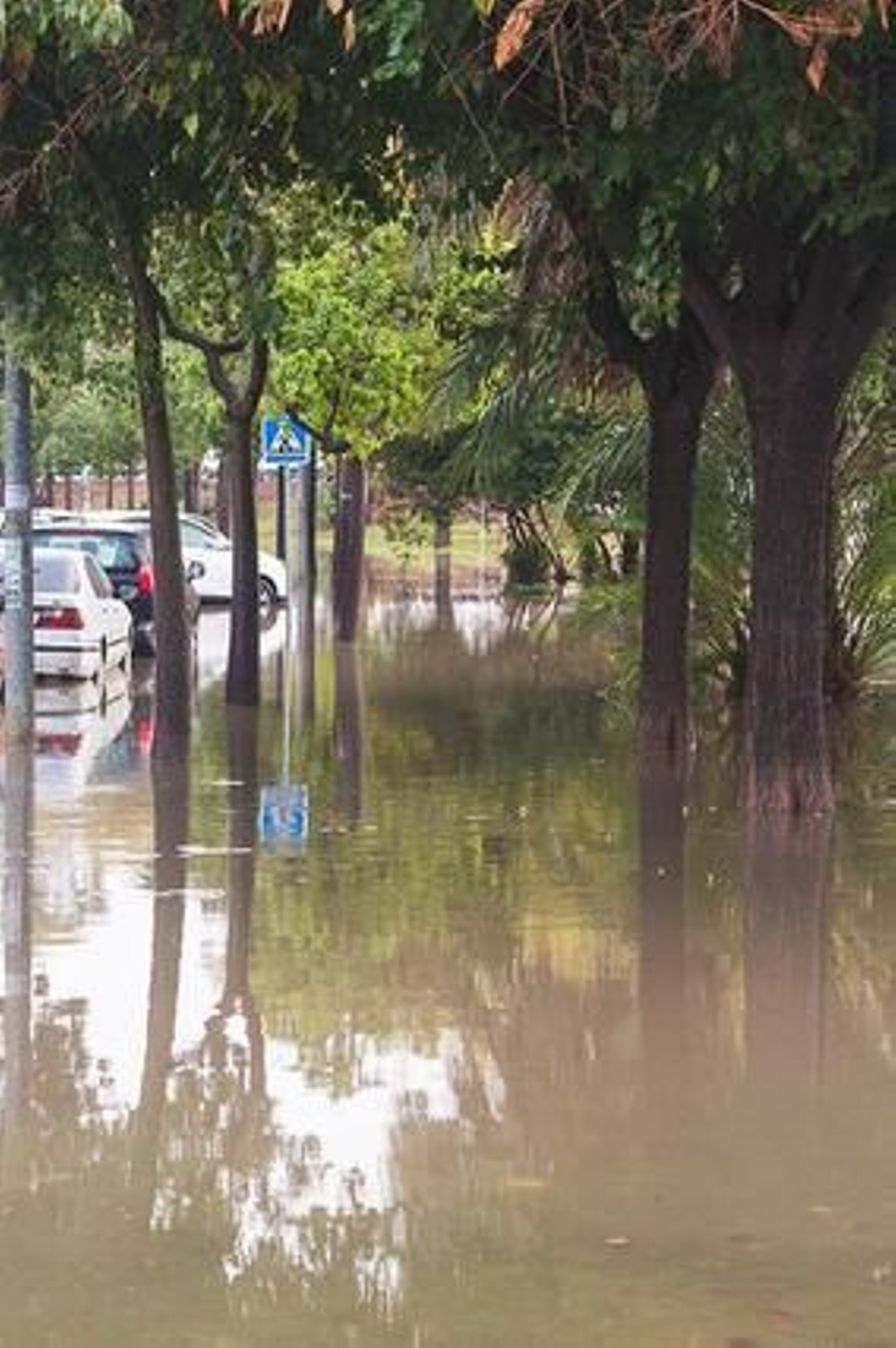 Estado en el que la lluvia ha dejado las calles en Sevilla Este.   Foto: Beatriz Hidalgo