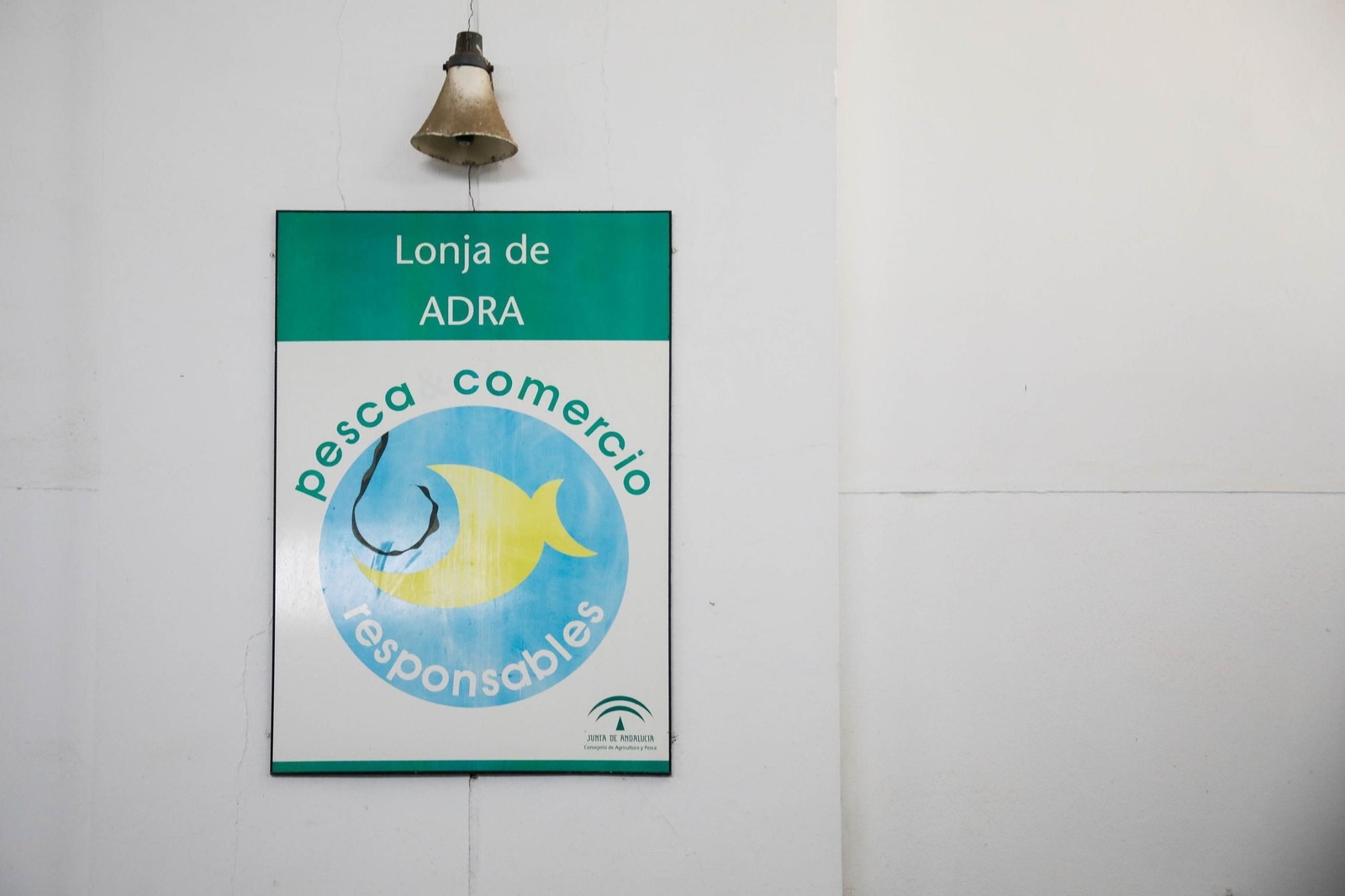 Vea cómo es la captura de pulpo en Adra, un manjar gastronómico