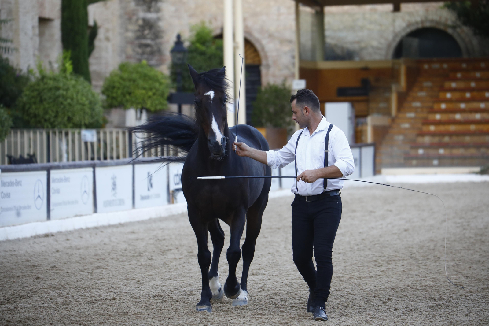 El arranque del XXVII Concurso Morfológico de La Feria del Caballo de Córdoba, en imágenes
