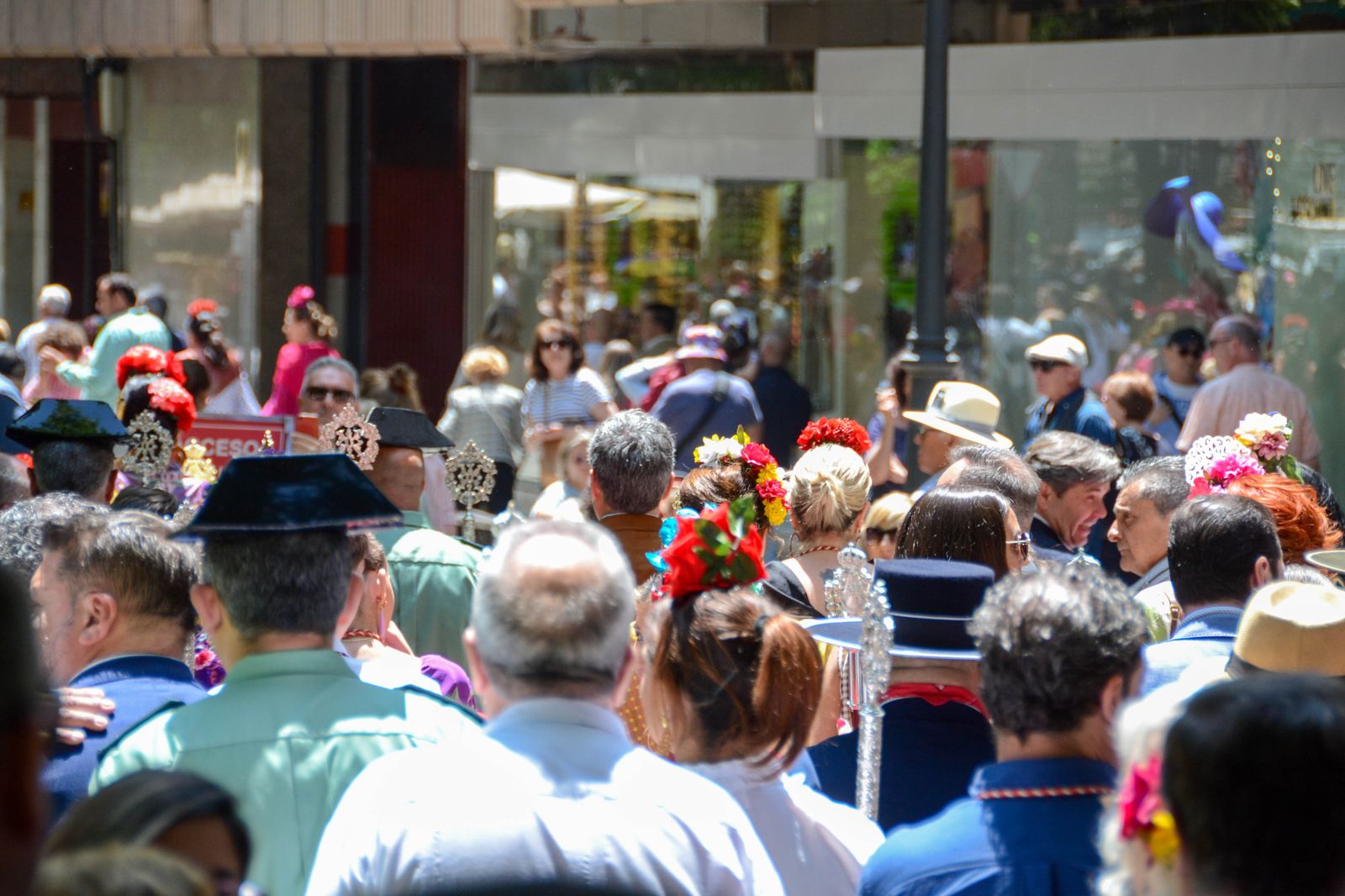 La salida de la Hermandad del Rocío de Granada, en imágenes