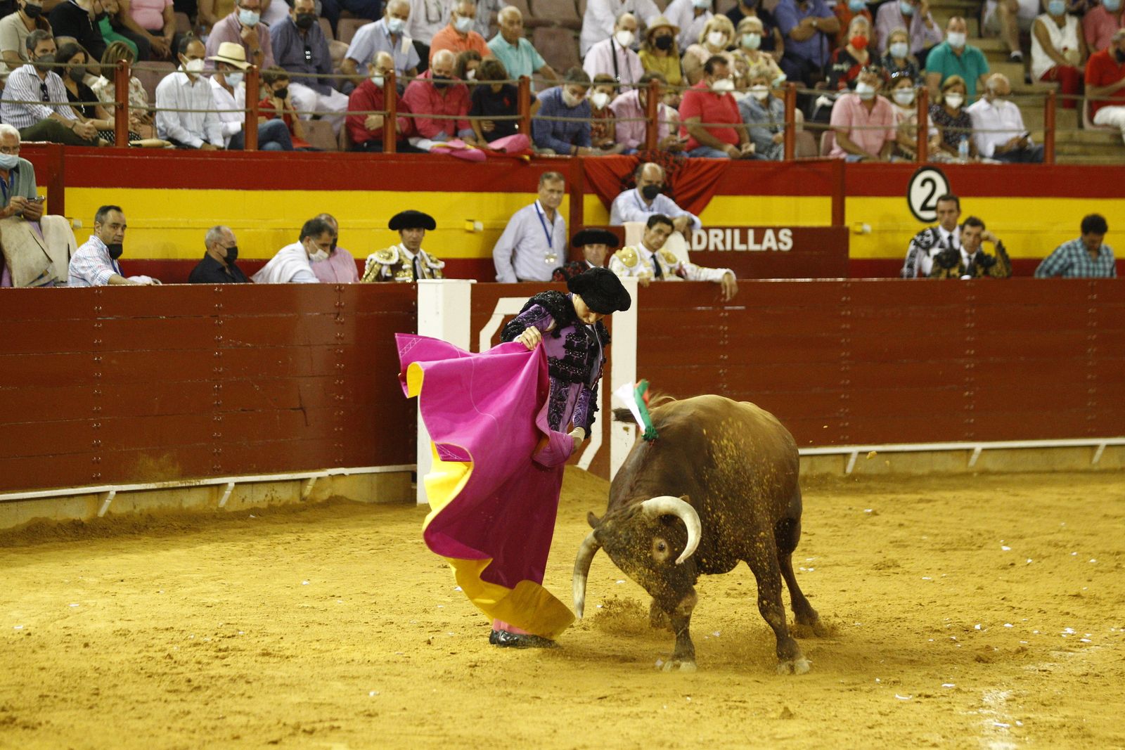 Fotogalería corrida de toros. Cayetano Rivera, Paco Ureña y Roca Rey. Roquetas de Mar.