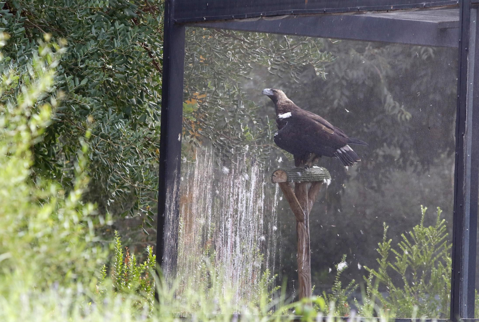 Las imágenes de la reapertura del zoo de Córdoba