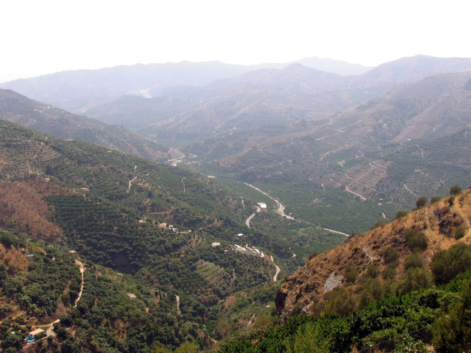 Los empresarios de la Costa de Granada pedirán que se declare zona catastrófica Almuñécar por la sequía