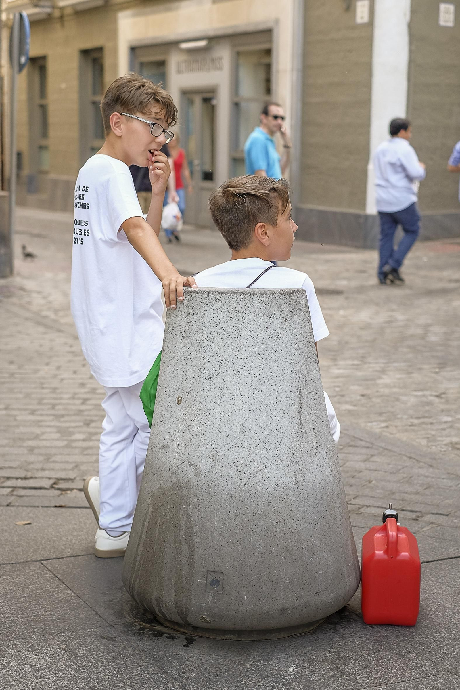 Las imágenes de la Magna Mariana
