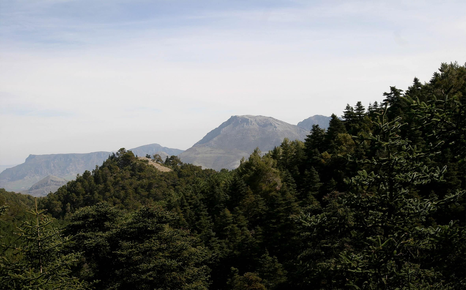 La Sierra de las Nieves, en fotos