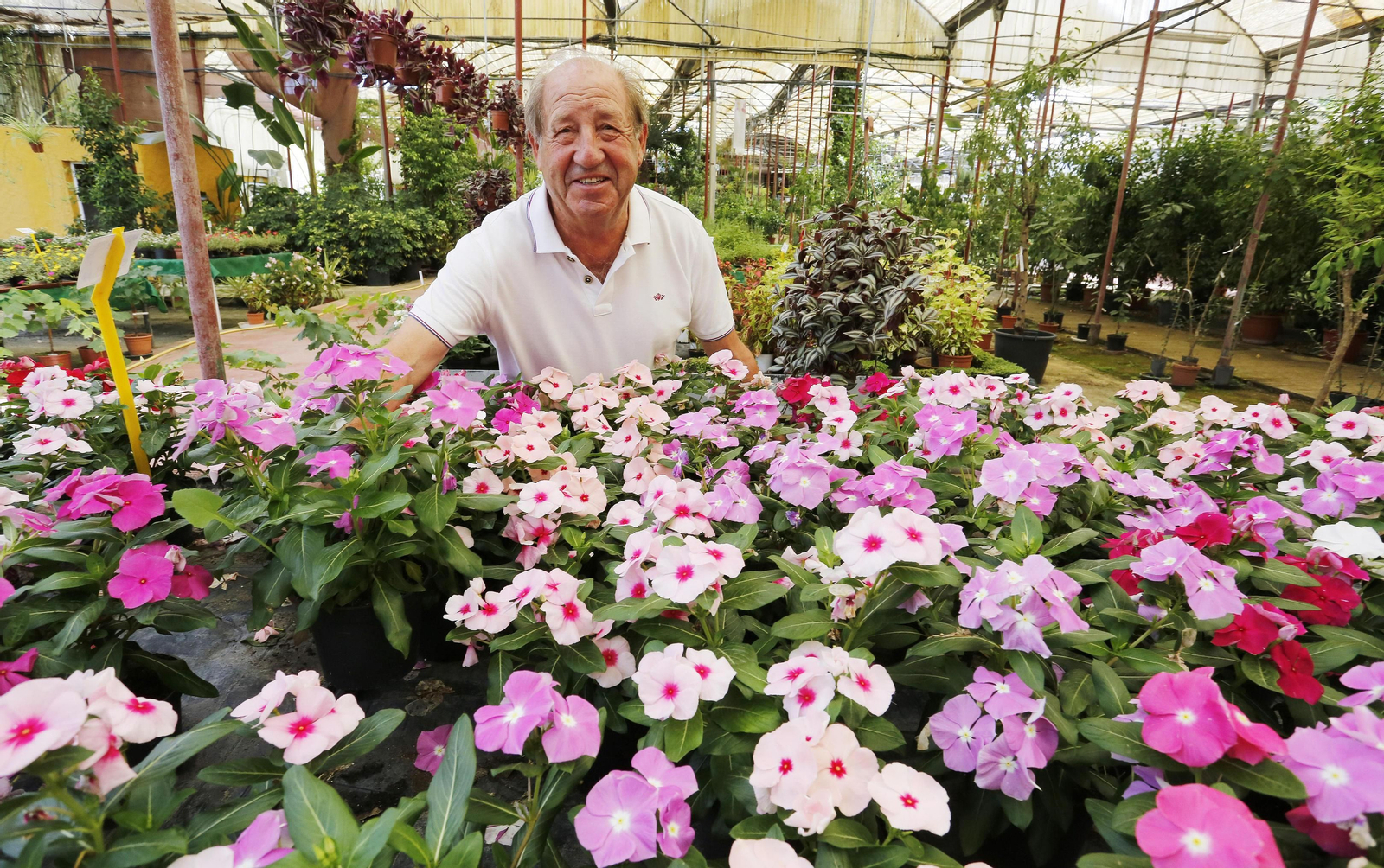 Manuel Olmedo, rodeado de flores, sonríe a la cámara.