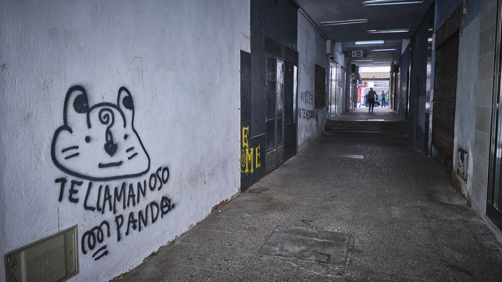 Estado en el que se encuentra el pasaje comercial María del Carmen González.