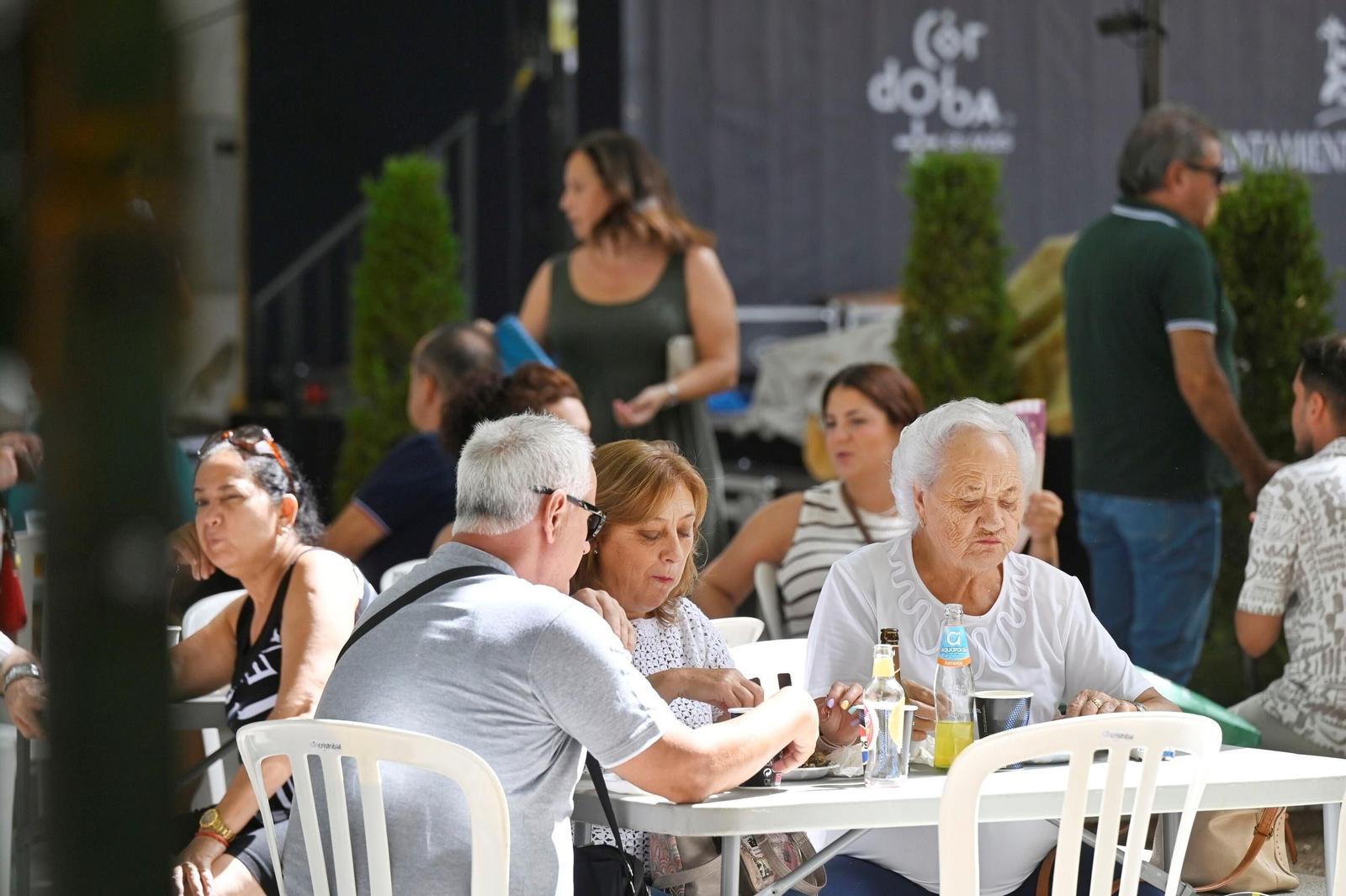 Las mejores fotos de la 'sardiná' de la Velá de la Fuensanta de Córdoba