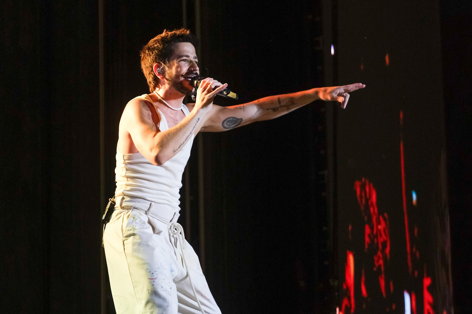 Concierto de Camilo en el Estadio de la Cartuja, Sevilla