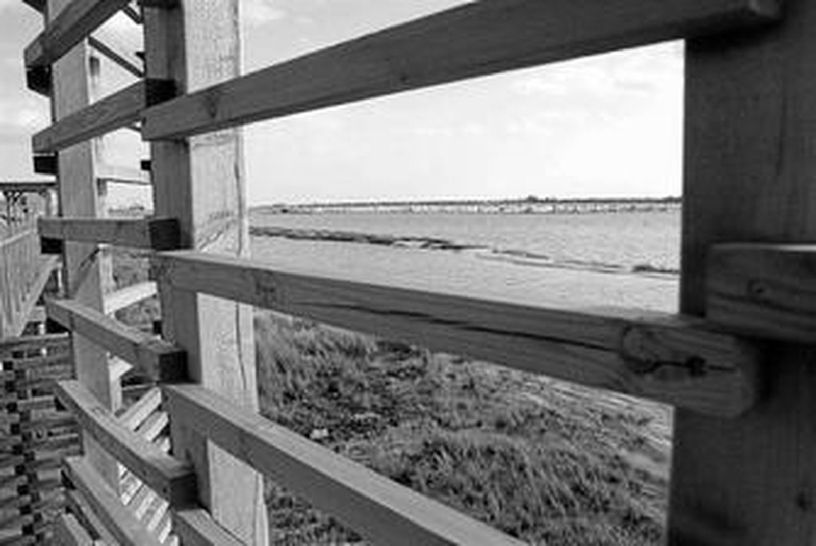 Marismas del la Punta del Sebo