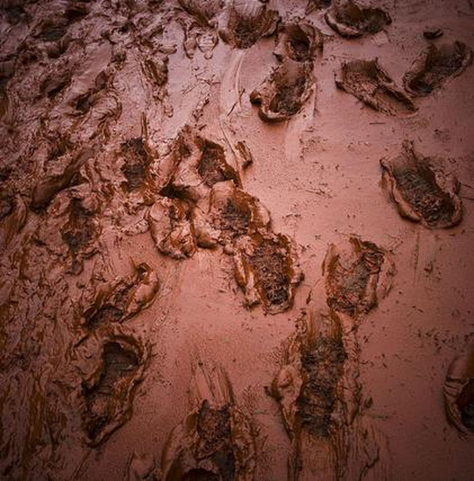 Foto: EFE / AFP / Reuters