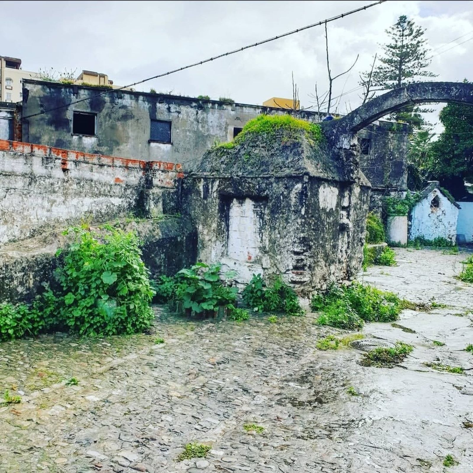 El aljibe del Patio del Coral.