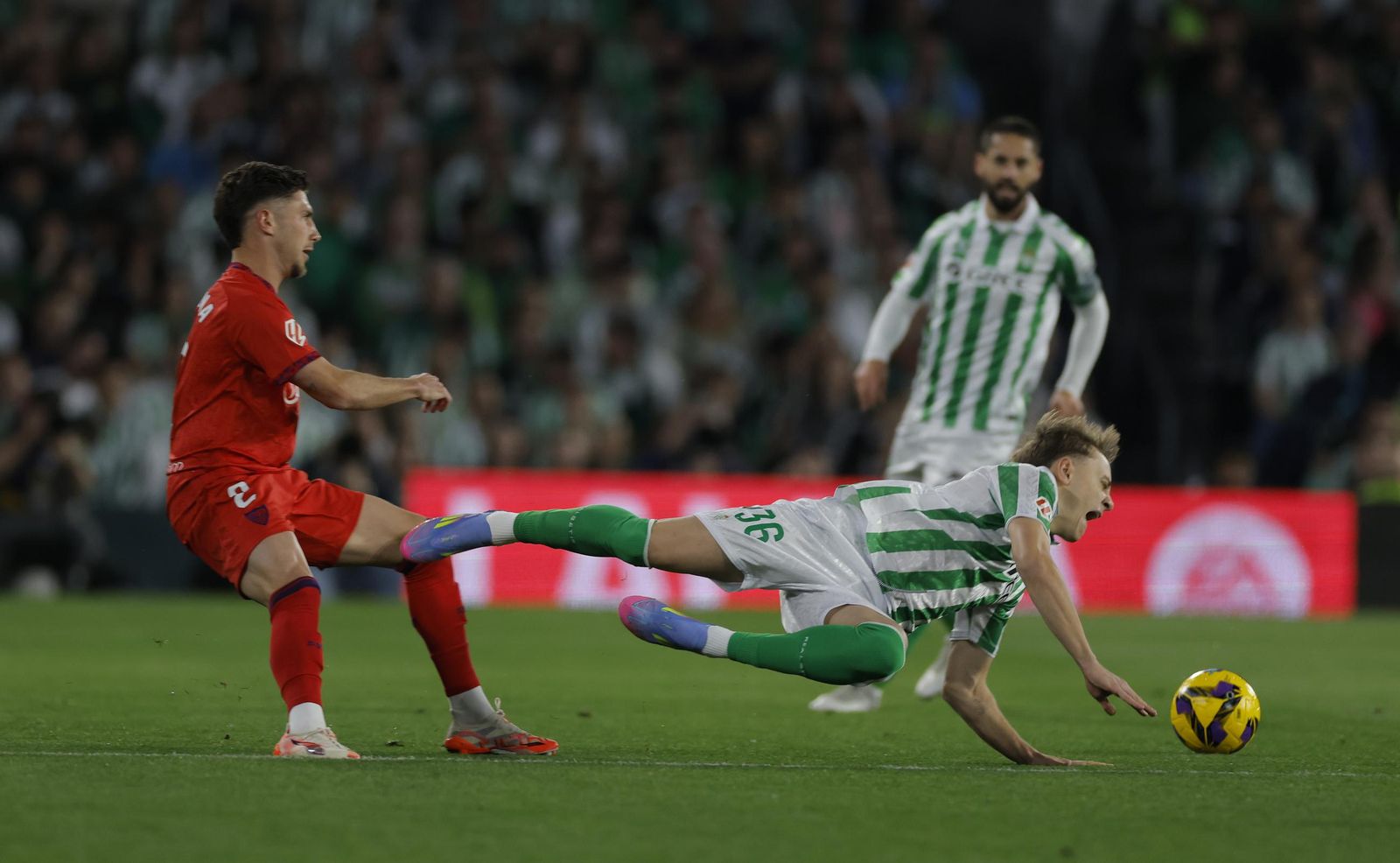 Las fotos del Betis - Sevilla