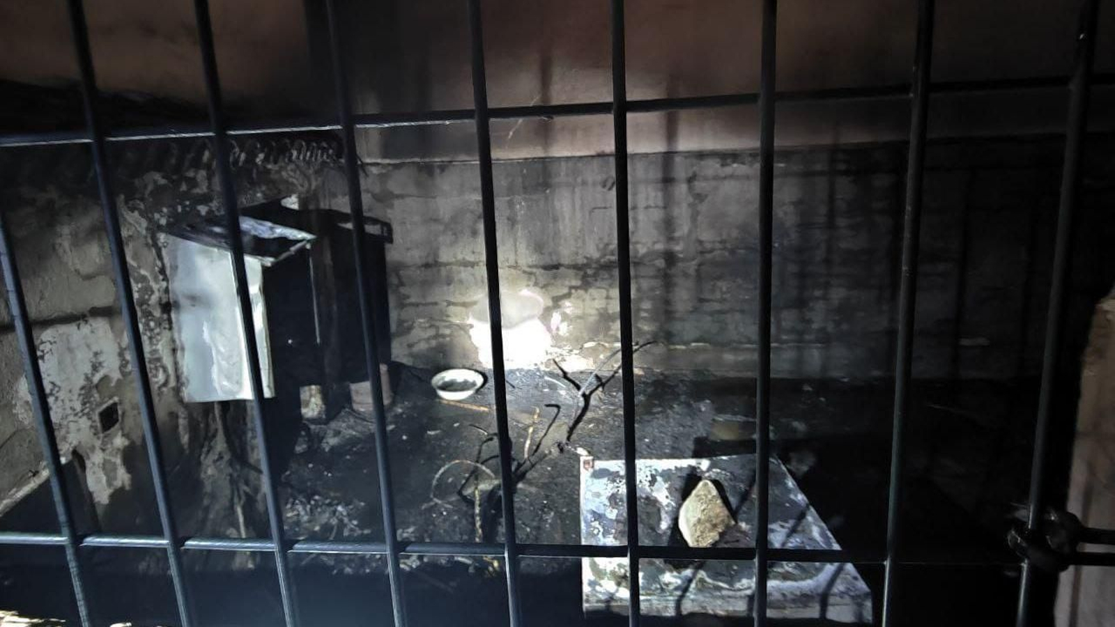 Imágenes del incendio que ha tenido lugar en una vivienda en Torrox. Imágenes del incendio que ha tenido lugar en una vivienda en Torrox.