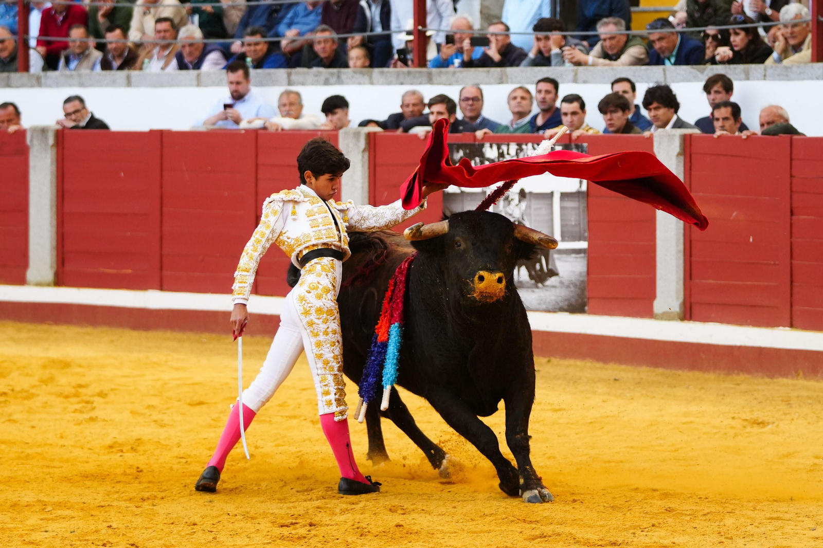 Las mejores imágenes de Manuel Morán, El Fandi y Daniel Luque en Pozoblanco