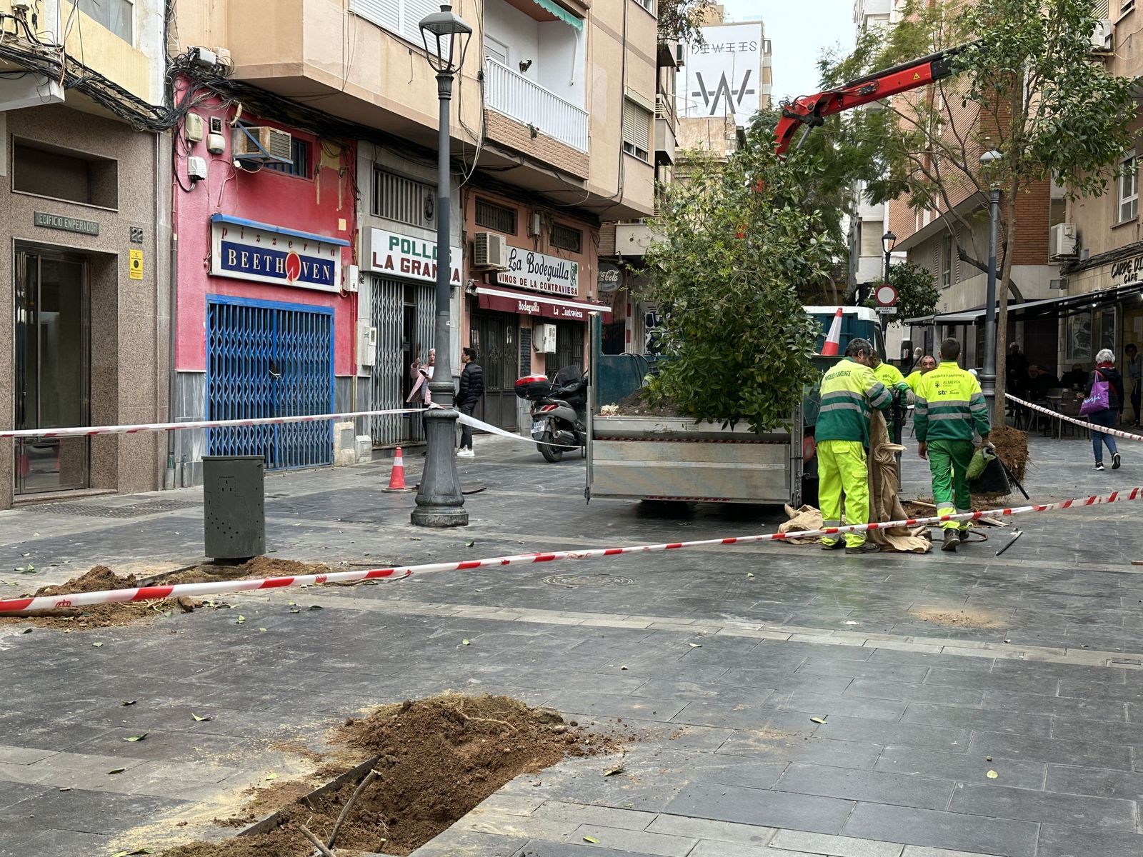 Árboles retirados de la calle Trajano hace dos semanas.